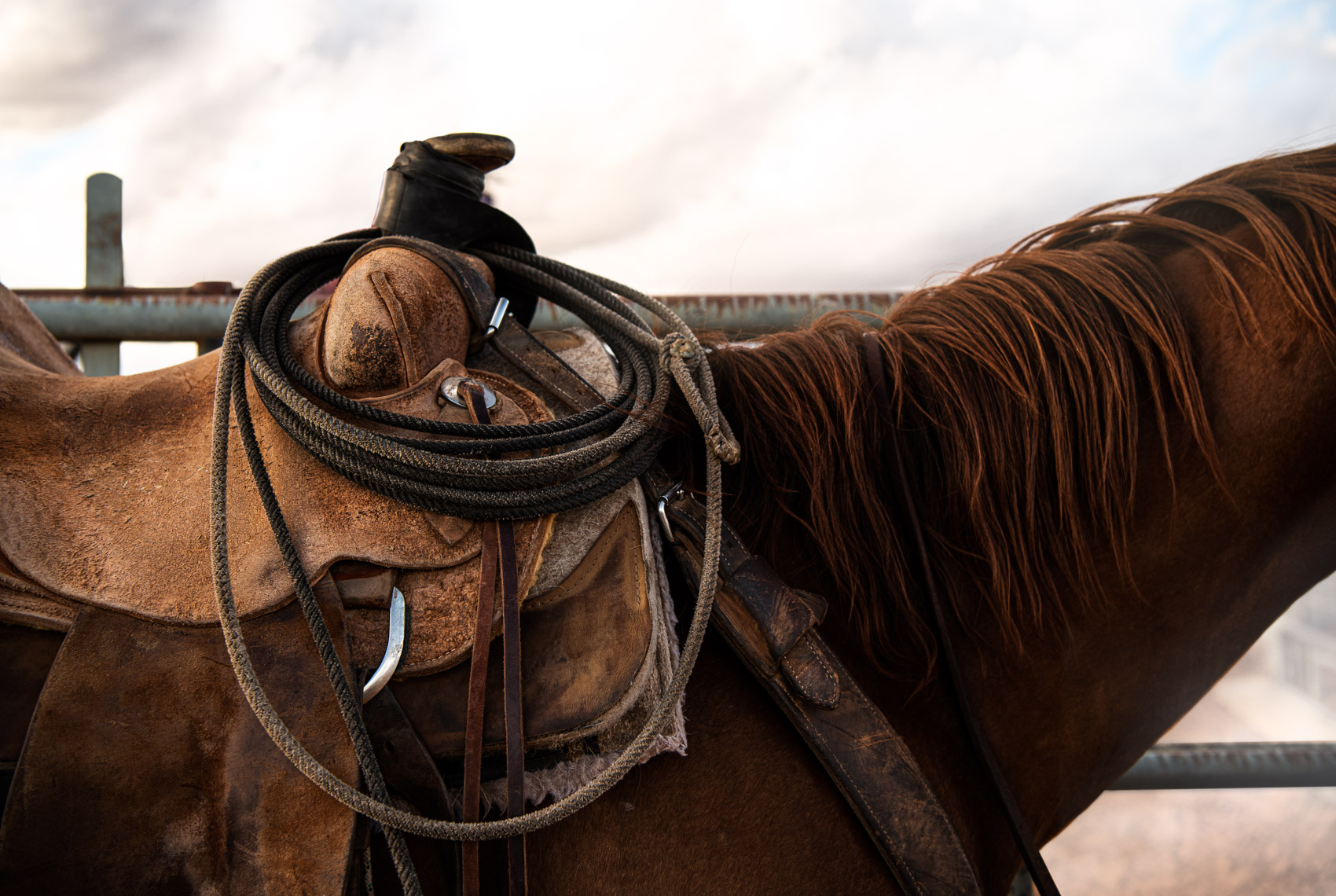 StevenFaulknerMoyer_KANAB_RODEO-54